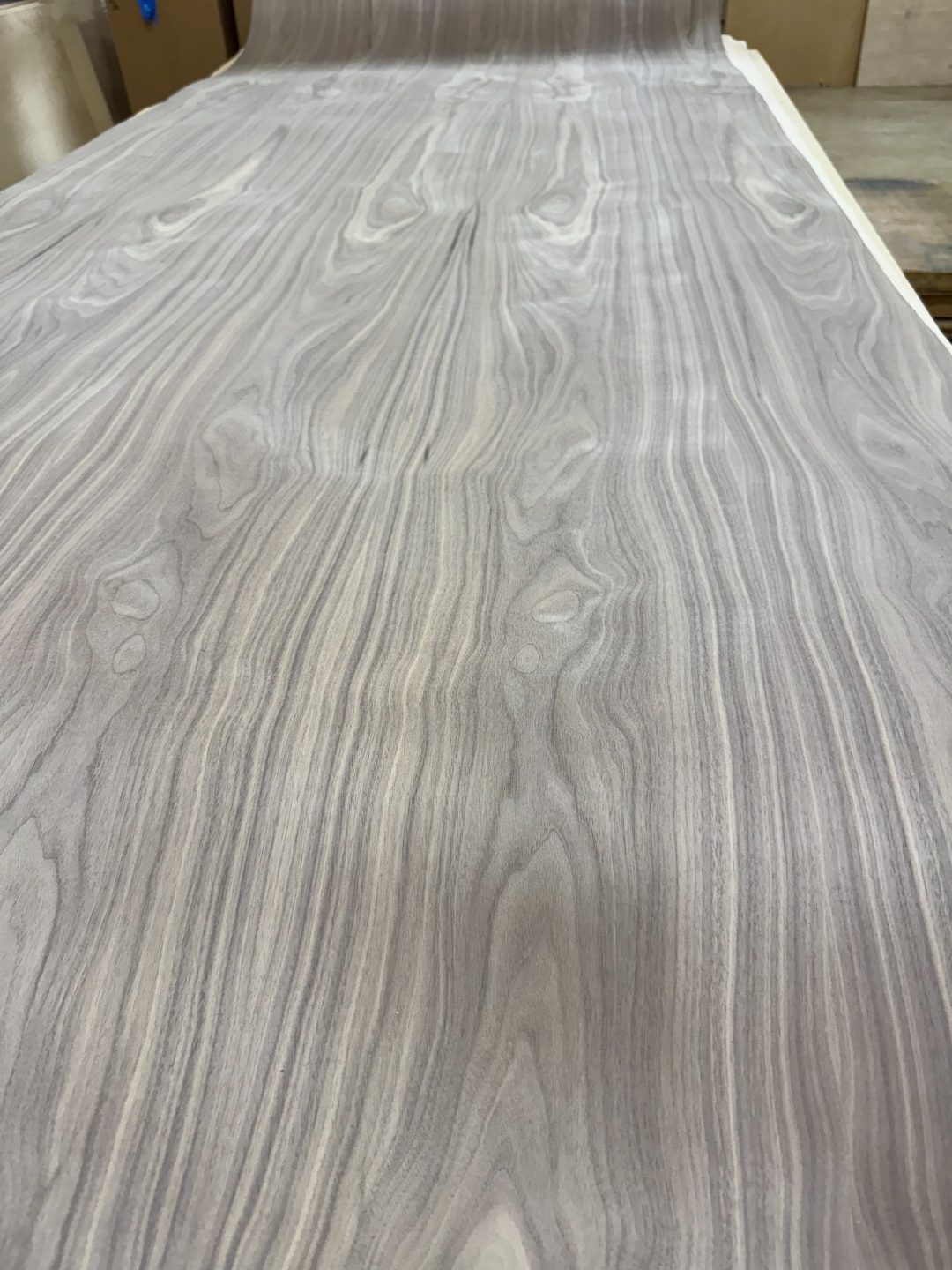 International Plywood & Lumber warehouse — Doral, FL